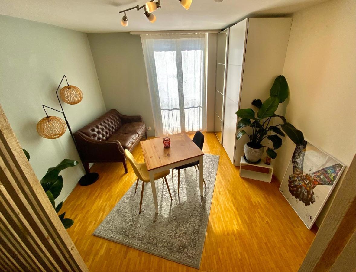 Apartmán Limmatspitz Gebenstorf Exteriér fotografie