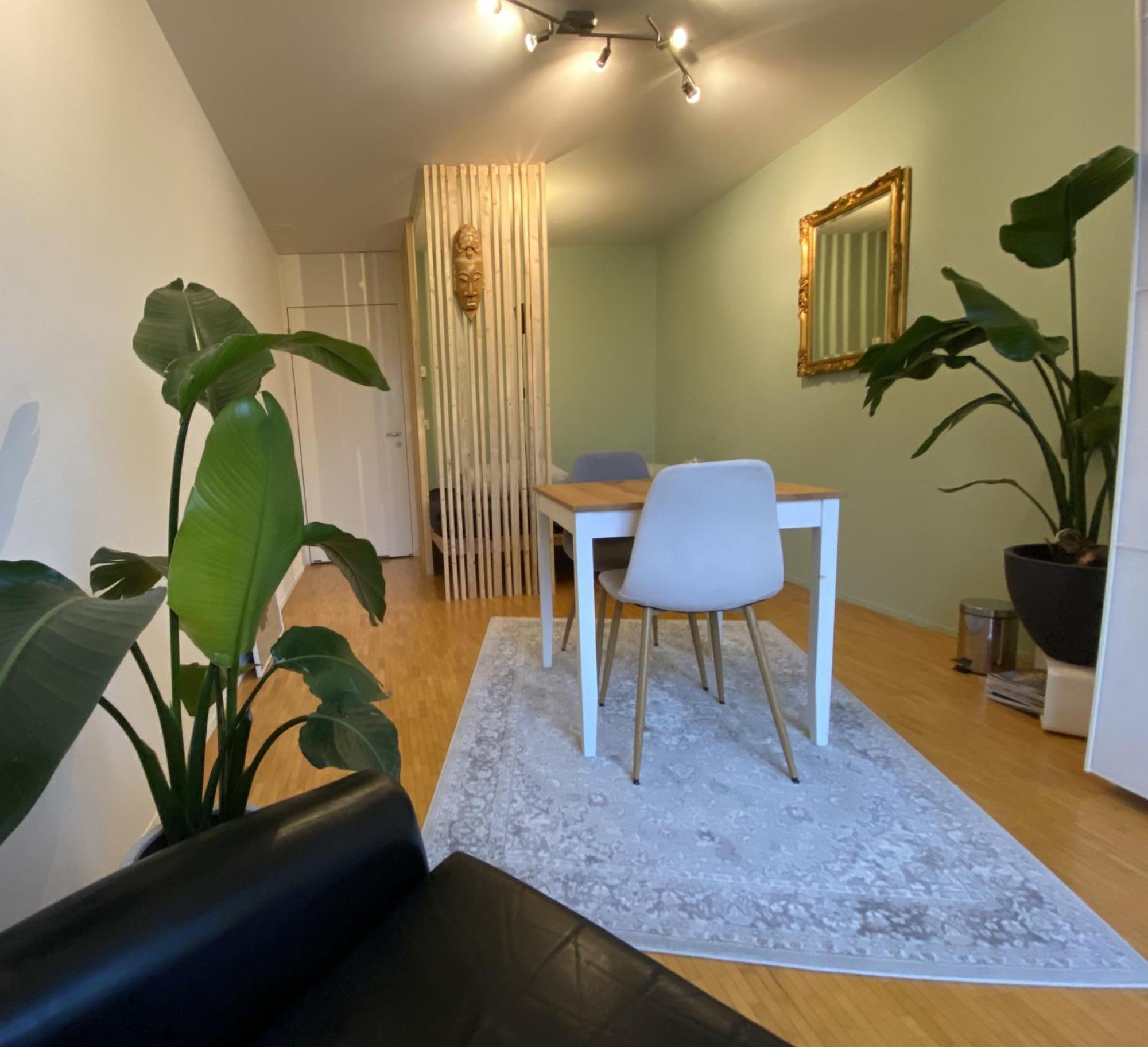Apartmán Limmatspitz Gebenstorf Exteriér fotografie